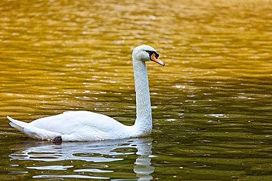 ChinaJoy2024：《影之刃零》新实机发布