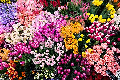 育碧《全境封锁2》在Steam发售 支持中文锁国区